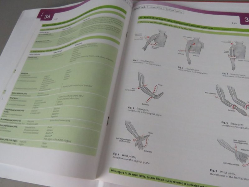 Boek Atlas of Human Anatomy Deel 1 Engels