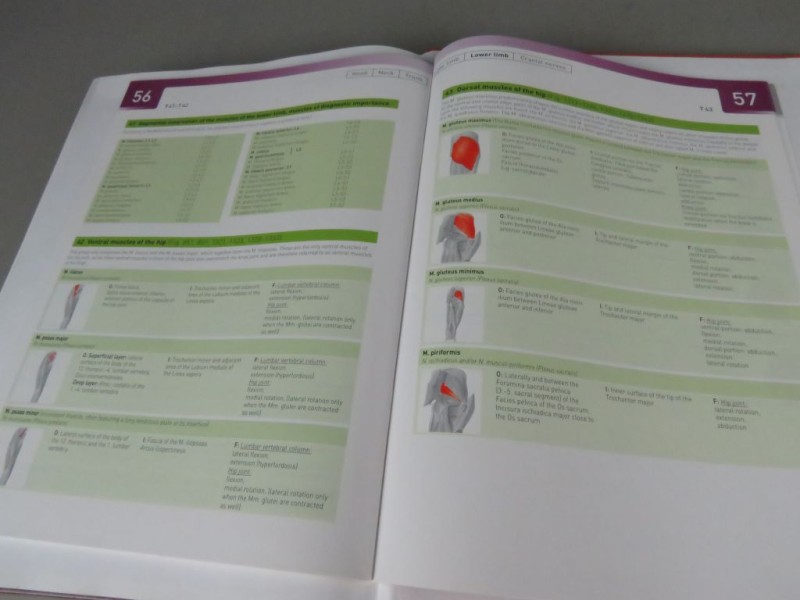 Boek Atlas of Human Anatomy Deel 1 Engels