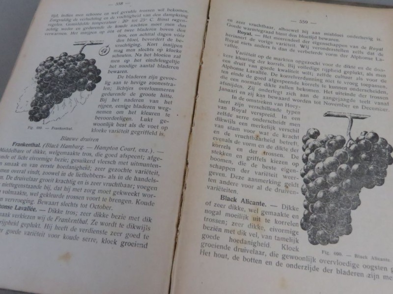 Vintage hardcover boek "Bolledig handboek over fruitboomteelt"