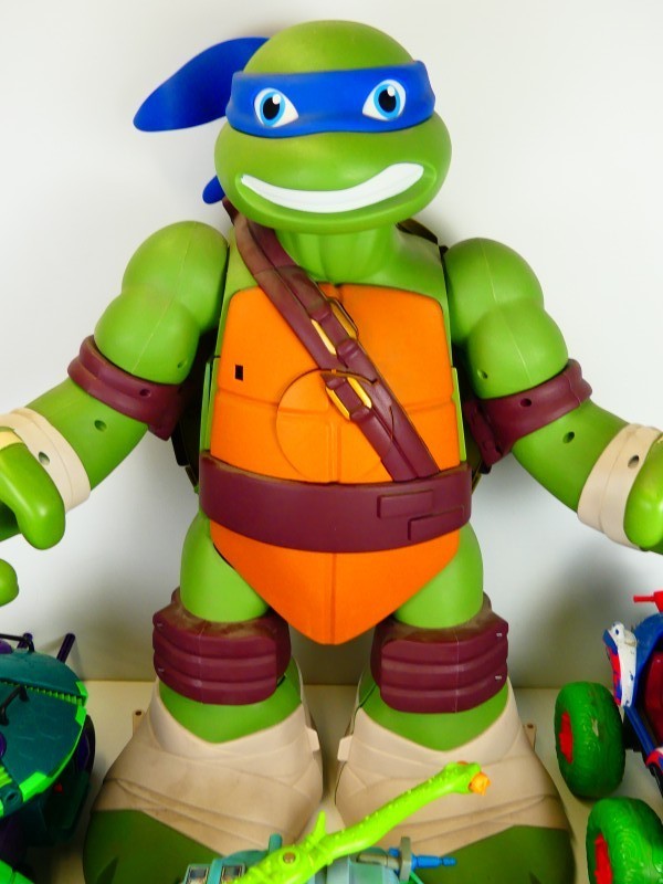 Opkomst van de TMNT Teenage Mutant Ninja Turtles