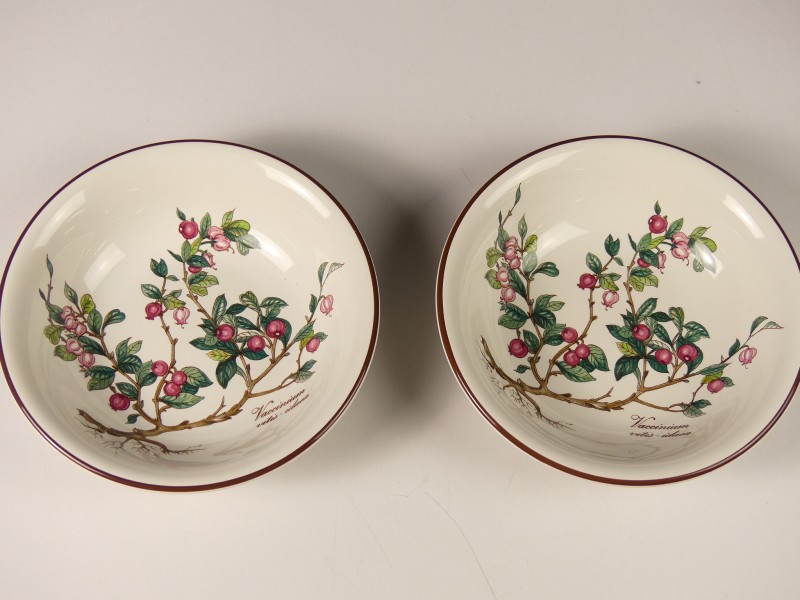 Villeroy & Boch Servies delen BOTANICA