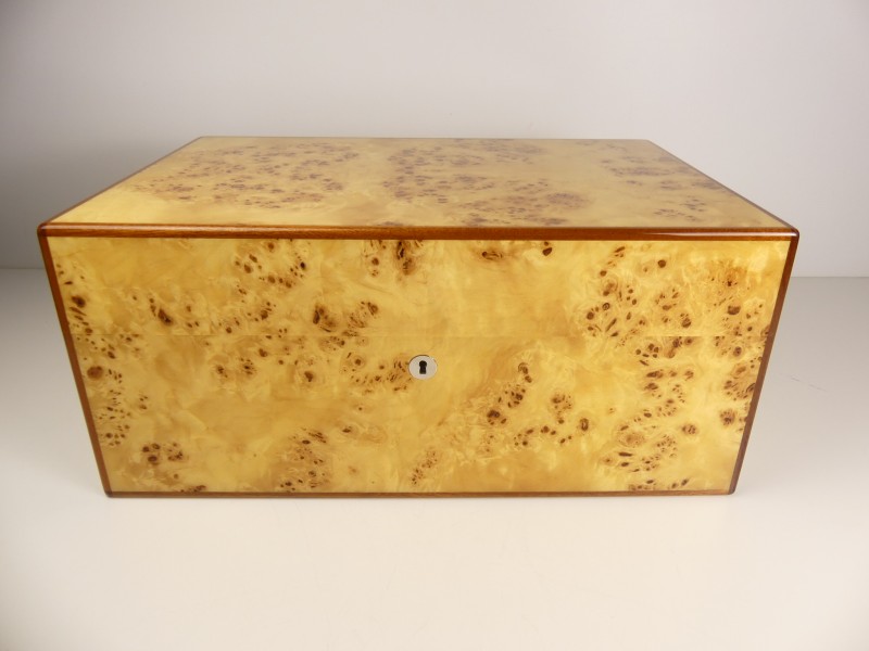 Nieuw Humidor hout High Glossy