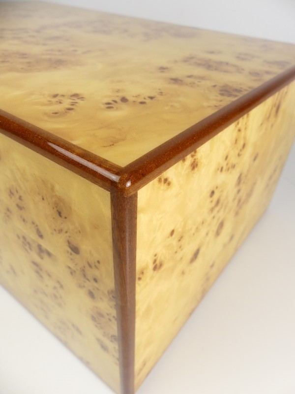 Nieuw Humidor hout High Glossy