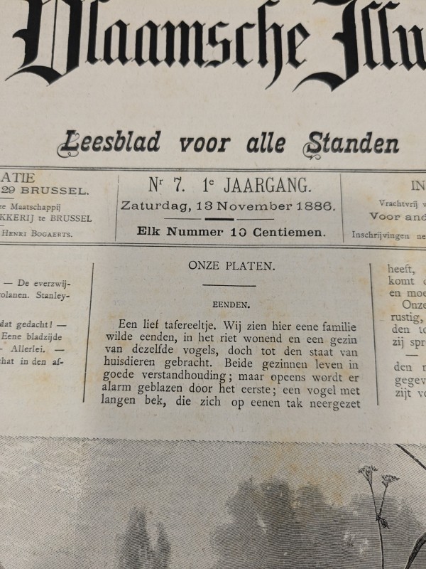 De Vlaamsche Illustratie - leesblad voor alle standen