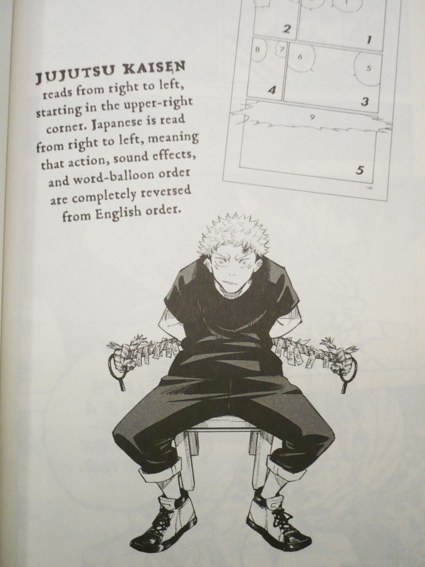 16 Jujutsu Kaisen strips