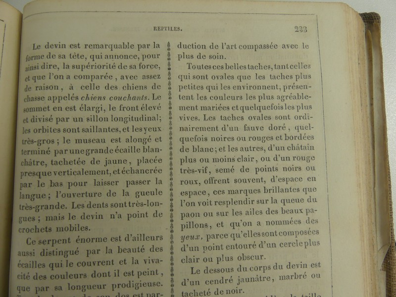 Le Buffon Classique de la Jeunesse/Tome second - Résumé D`Histoire Naturelle 1837 M. Lacoste