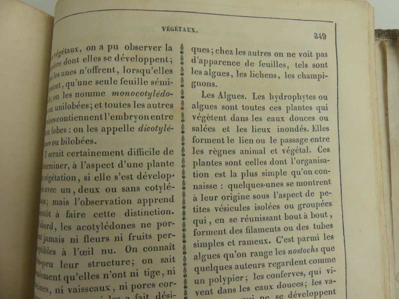 Le Buffon Classique de la Jeunesse/Tome second - Résumé D`Histoire Naturelle 1837 M. Lacoste