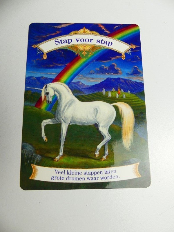 Lot verschillende tarot en orakel kaarten