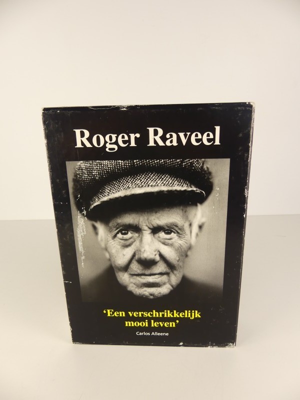 Roger Raveel - Een verschrikkelijk mooi leven