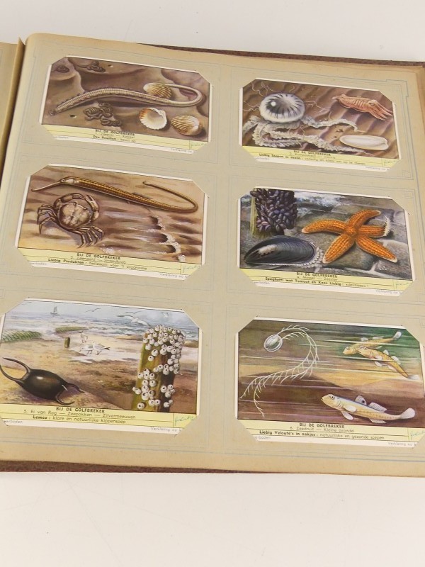 Een vintage lot van 6 ‘Liebig’ chromoalbums met diverse thema's