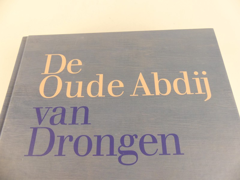 de oude abdij van drongen