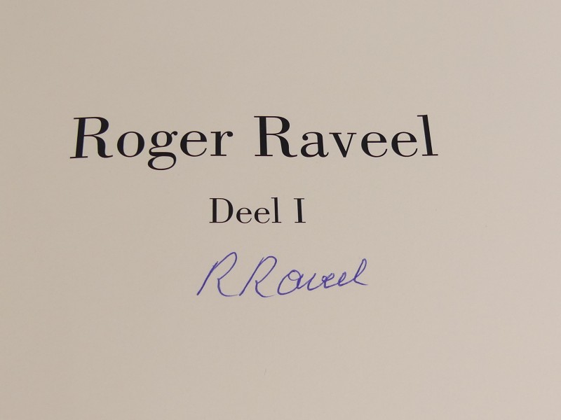 Roger Raveel - Een verschrikkelijk mooi leven