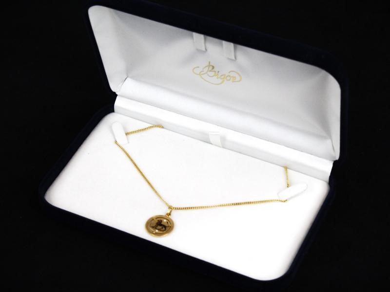 18k gouden leeuwenhanger met ketting