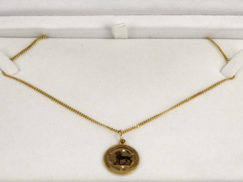 18k gouden leeuwenhanger met ketting