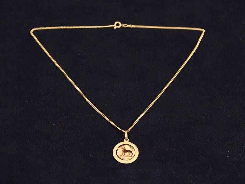 18k gouden leeuwenhanger met ketting