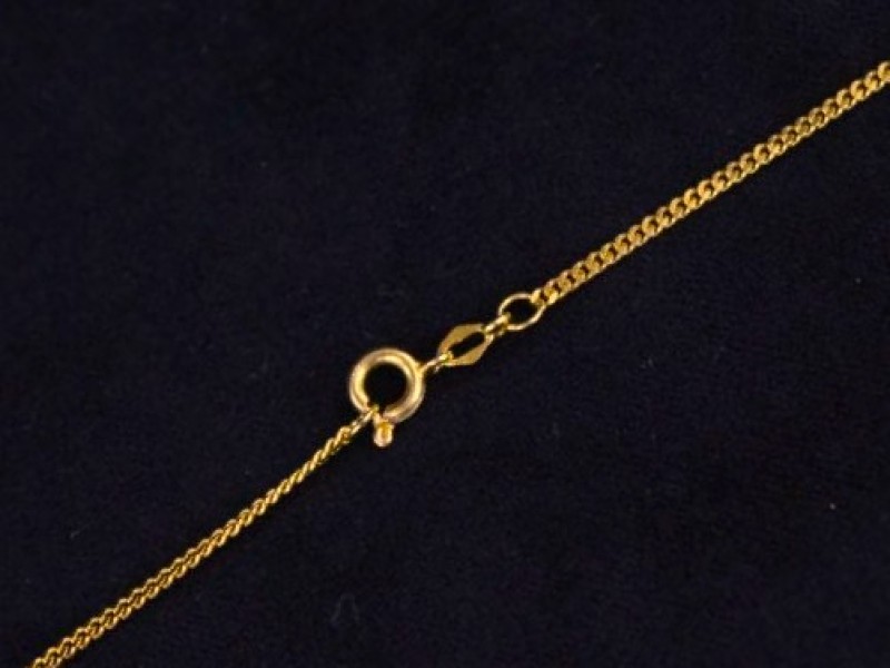 18k gouden leeuwenhanger met ketting