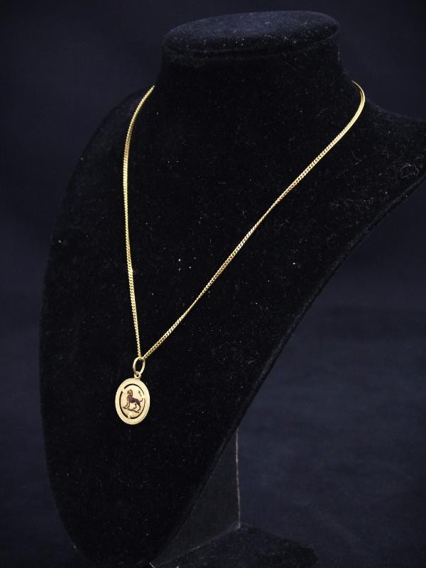 18k gouden leeuwenhanger met ketting