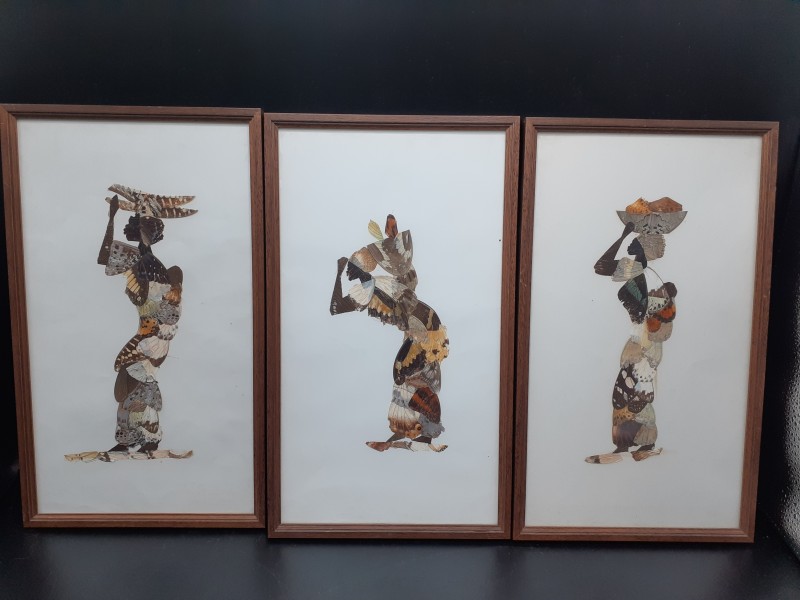 3 Afrikaanse kunstwerken van vlinder vleugels