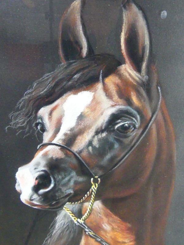 Een Gouache schilderij - Paard